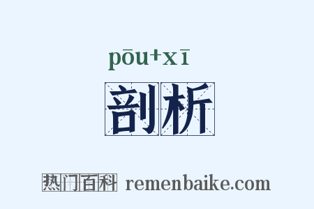 剖析是什么意思的图片